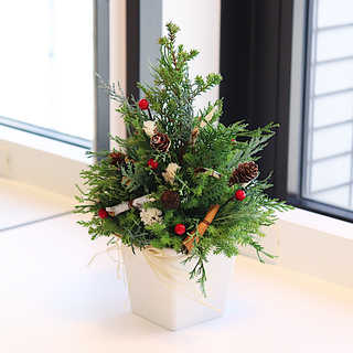クリスマスミニツリー