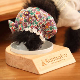 kanbatsu  LAVISH single dish ラビッシュシングルディッシュ