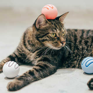 pidan ピダン Cat Toy Ball 猫用おもちゃボール