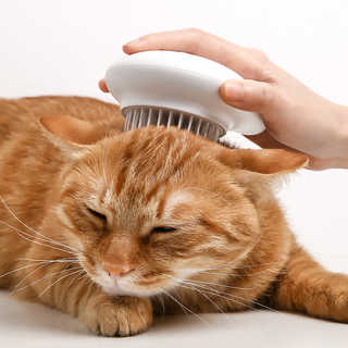 pidan ピダン Pet Brush-Q 猫用ブラシ