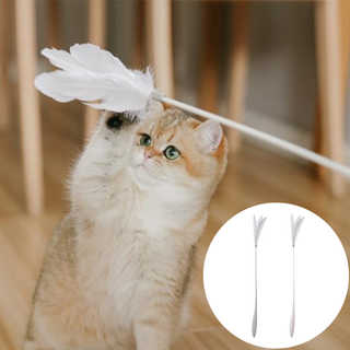 pidan ピダン Teaser Extended 羽根のねこじゃらし