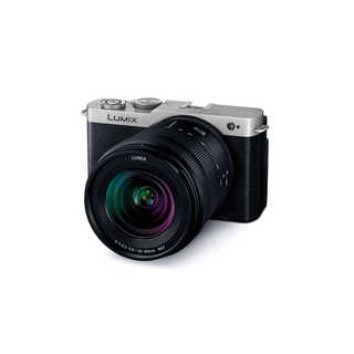 パナソニック DC-S9K-S フルサイズ ミラーレスカメラ 高倍率ズームレンズキット LUMIX ダークシルバー DCS9KS