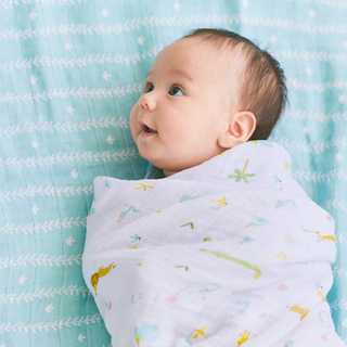 スワドル おくるみ 3枚セット イヤーオブザスネーク