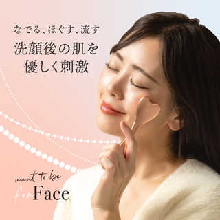 WTB フェイスローラー