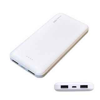 RIC-STYLE スマートバッテリー L ホワイト