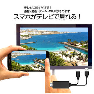 スマホ テレビ 接続 ケーブル