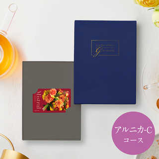 [大和 カタログギフト] ミストラル e-order choice アルニカ-C  [カードタイプ]