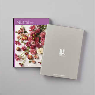 [大和 カタログギフト]  ミストラル アルニカ [冊子タイプ] 