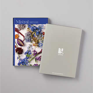 [大和 カタログギフト]  ミストラル イングリッシュラベンダー [冊子タイプ] 