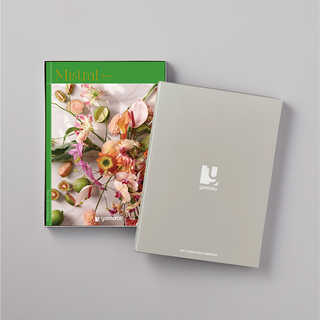 [大和 カタログギフト]  ミストラル バイロン  [冊子タイプ] 