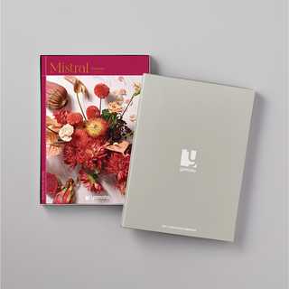 [大和 カタログギフト]  ミストラル スーニオン [冊子タイプ] 