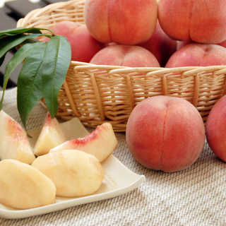 山形県産　白桃［５ｋｇ］