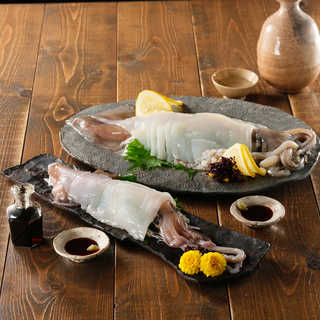 いかの食べ比べセット