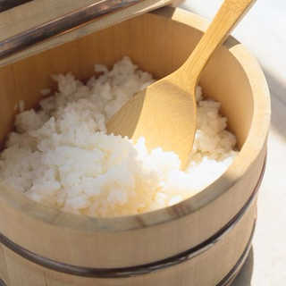 雪温精法 熊本県産 森のくまさん4㎏
