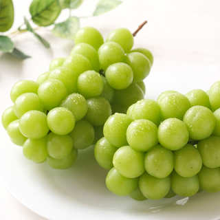 長野県産　シャインマスカット［２房］