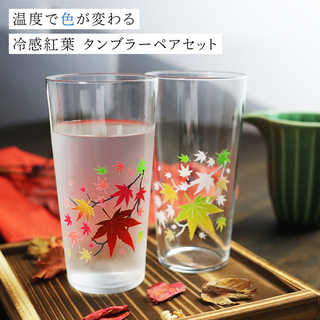 丸モ高木陶器 冷感紅葉 タンブラーペアセット 