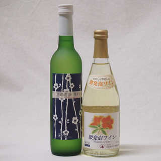 国産ワイン甘口セット 京都山城青谷産城州白梅わいん(京都府)500ml 北海道微発泡ナイアガラ500ml×2本