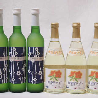 国産ワイン甘口6本セット 京都山城青谷産城州白梅わいん(京都府)3本 北海道微発泡ナイアガラ3本計6本