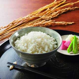 越後雪室屋 氷温®熟成新潟こしひかりパックごはん 180g×34パック