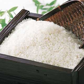 特別栽培米|さゆり米 10kg