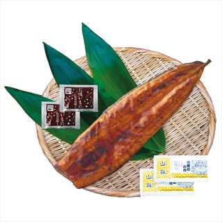 特大　鹿児島県産うなぎ蒲焼セット（永谷園お吸い物付） PFU-017A