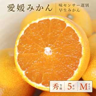 中島便り みかん 5kg MS混合サイズ