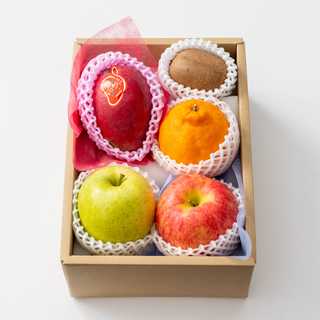 ホシフルーツ おまかせ旬のフルーツＢＯＸ ＢＮ