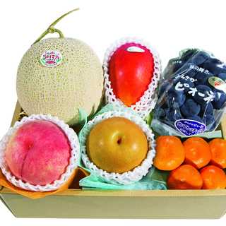 ホシフルーツ おまかせ旬のフルーツBOX E