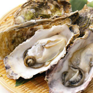 広島県産 殻付き牡蠣(生食用)