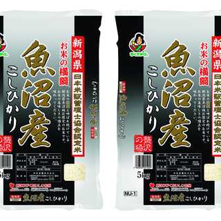 新潟県魚沼産 こしひかり