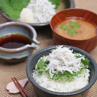 和歌山　紀州　かまあげしらす