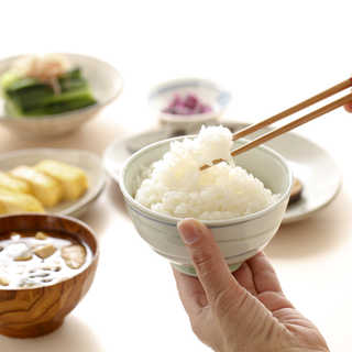 雪蔵仕込み 新潟県産こしひかり特別栽培米