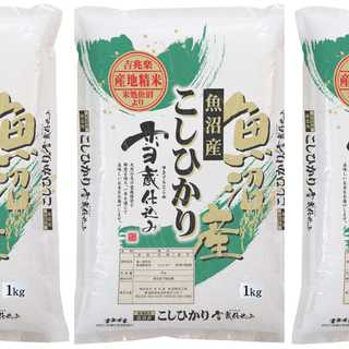 新潟 雪蔵仕込み 魚沼産こしひかり