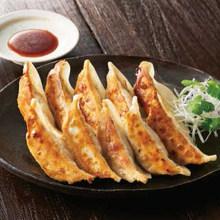 栃木　宇都宮餃子「さつき」セット 45個入り