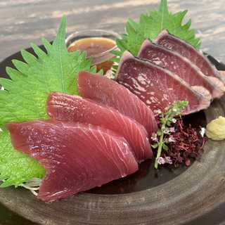 静岡　一本釣り鰹尽くし