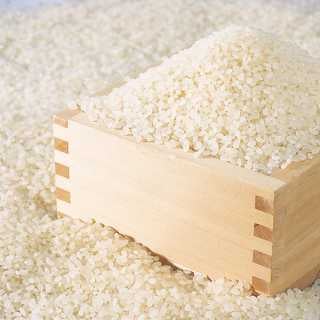 宮城 雪蔵仕込 ひとめぼれ 5kg×2