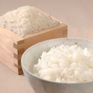 新潟 雪蔵仕込 特別栽培米新潟産コシヒカリ 8kg