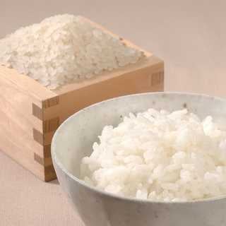 新潟県産こしひかり 8kg