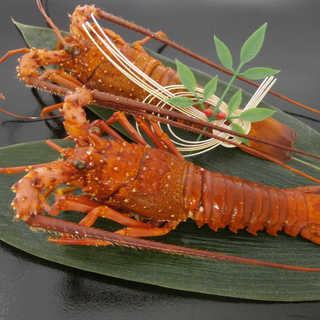 徳島　「吟月」　伊勢海老の塩蒸し