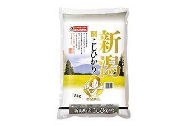 Anny gourmet 新潟県産 コシヒカリ 5kg×2のプレゼント・ギフト通販