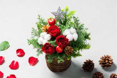 Anny flowers クリスマスミニツリーアレンジメントのプレゼント