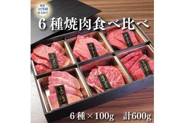焼肉 十炭 A5等級 黒毛和牛 6種焼肉 食べ比べセット 600gのプレゼント