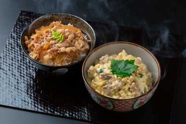 Anny gourmet 徳島 「吟月」 簡単ふんわり親子丼と牛丼の具 (6食)のプレゼント・ギフト通販 Anny（アニー）