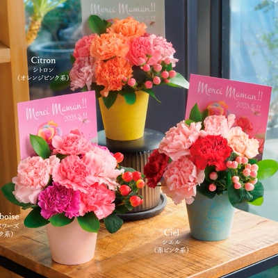 母の日はいつ？実際に喜ばれる人気のプレゼントとは？