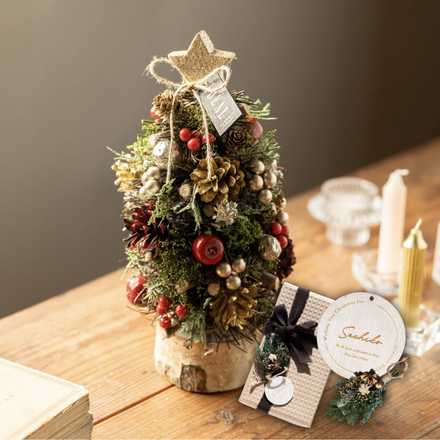 【送料無料】【名入れ】クリスマススペシャルセット クリスマスミニツリー