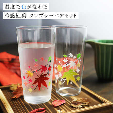丸モ高木陶器 冷感紅葉 タンブラーペアセット 