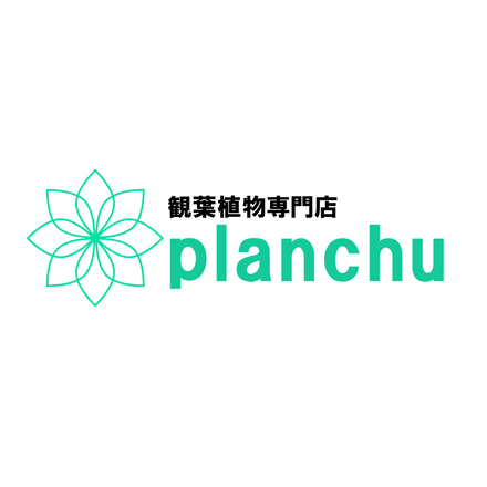 PLANCHU