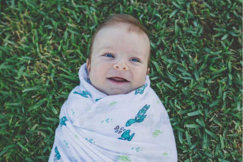 Swaddle Blanket