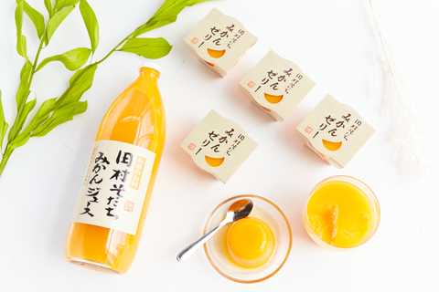 竹武農園 みかんジュースとゼリーのセット