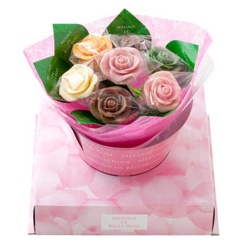 ベルローズ7本C